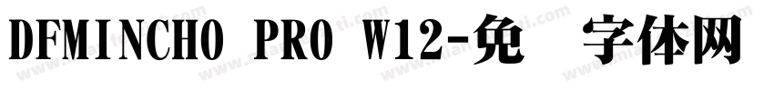 DFMINCHO PRO W12字体转换